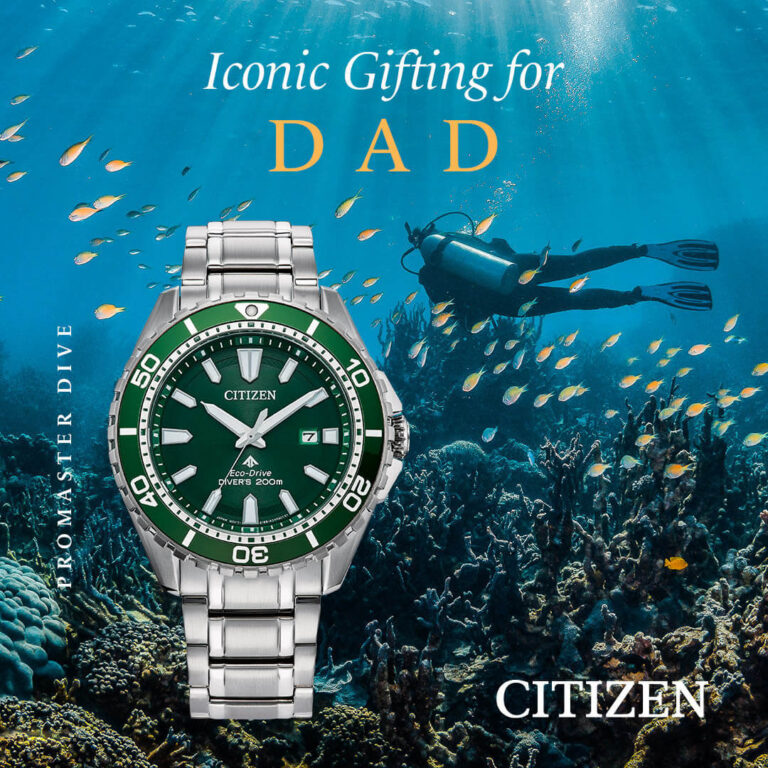 Father's Day Citizen Watches